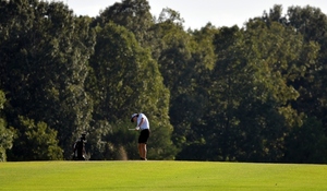 Bearkatz Golf Wins